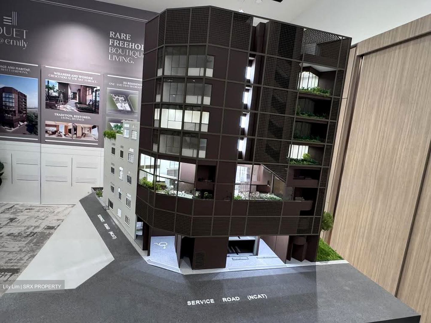Duet (D10), Condominium #606948231